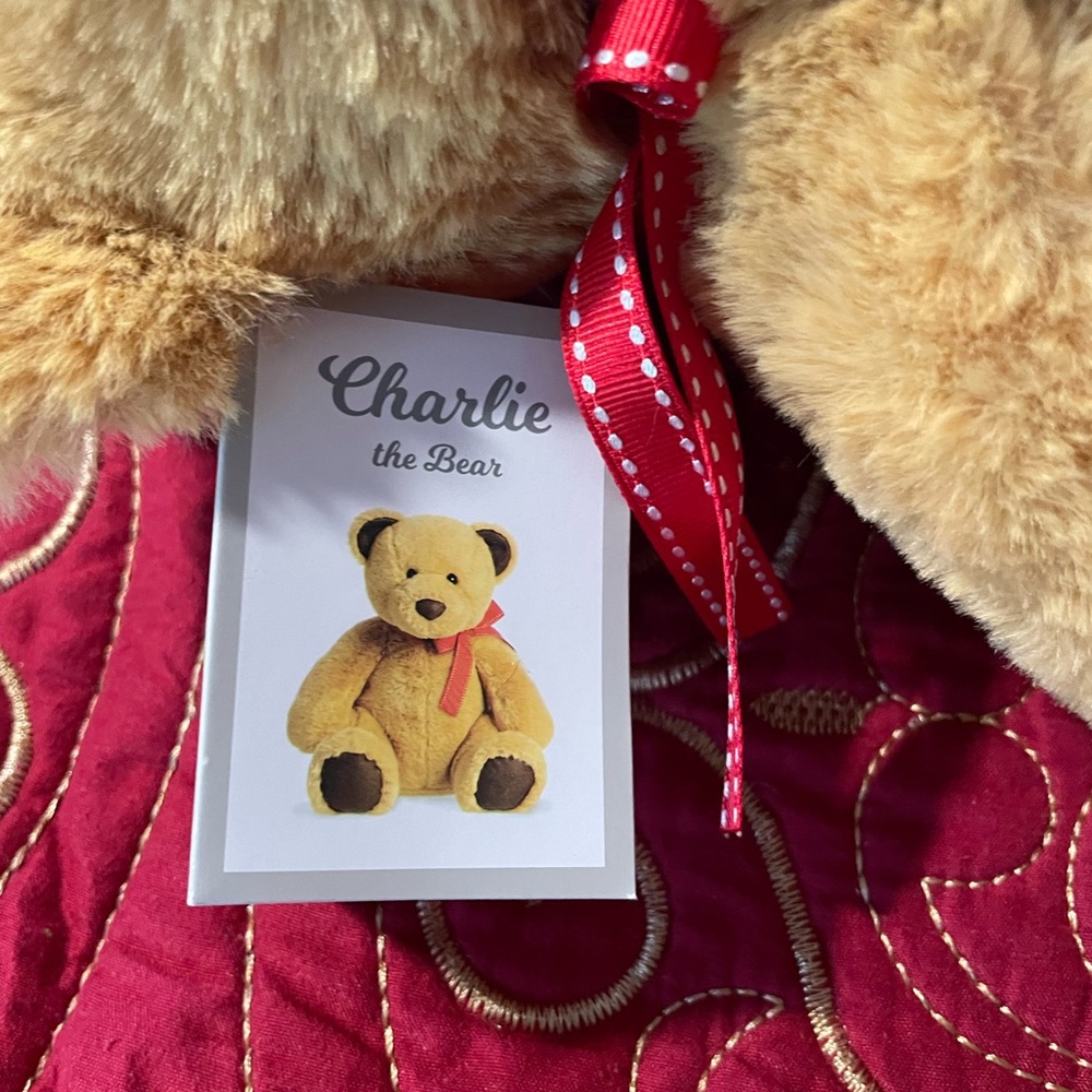 Charlie the Bear Stuffed Animal. - Picture 2 of 4